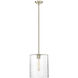 Ashli 1 Light 12.00 inch Pendant